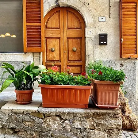 Elle Shelter Guest house
